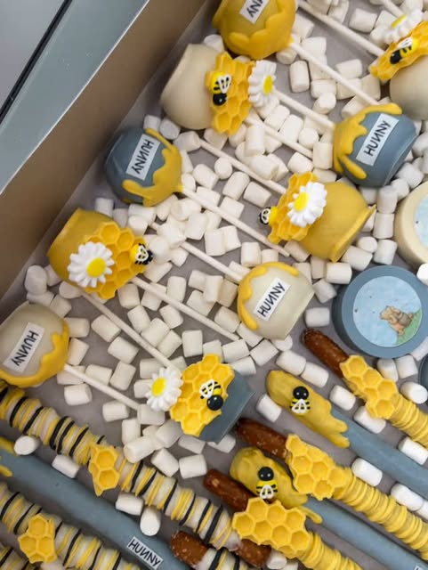 Close up of honey pot cake pops and bee pretzel rods